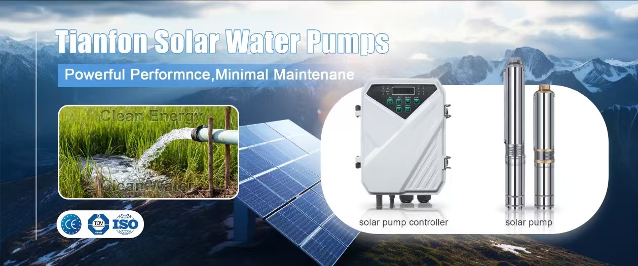 คุณภาพ Solar Panel Ground Mounting Systems โรงงาน