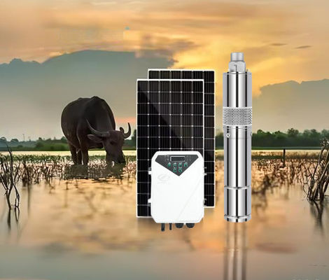 ราคาดี Optimum Input Voltage 60V-90V DC Solar Water Pump with MPPT Controller Type and Max Flow 3.8m3/h ออนไลน์