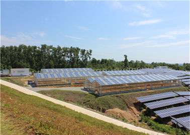 ราคาดี Single Span Greenhouse Solar System Agriculture Plant Warm House Metallic Structure ออนไลน์