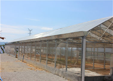 ราคาดี Ground Solar System For Agriculture , Plant Farm Solar PV Mounting Systems ออนไลน์