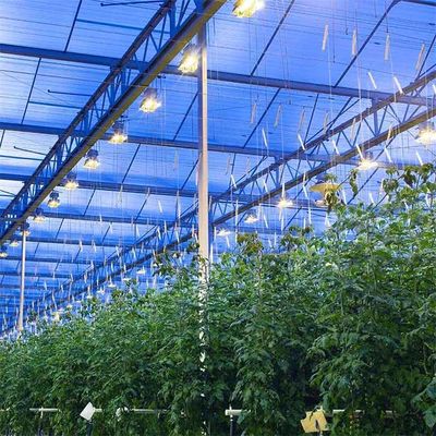 ราคาดี Integrated PV Panel Mounting Systems Greenhouses Thin Film Module Support Structure ออนไลน์