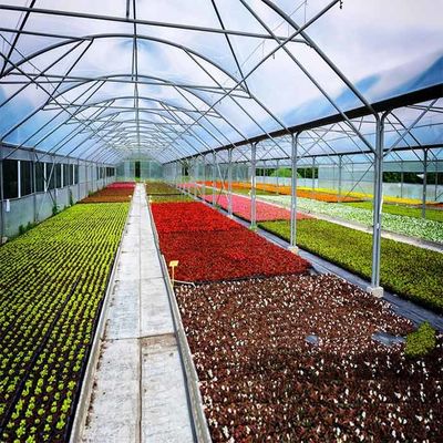ราคาดี Acid Corrosion Resistant Q345B Frame Greenhouse Solar System ออนไลน์