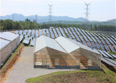 คุณภาพ High Density Greenhouse Solar System Economical Planting Hot Dip Galvanized Steel Structure โรงงาน