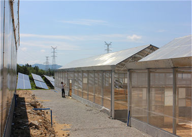 ราคาดี Roof Mounted Greenhouse Solar System Photovoltaic Power Plants Agricultural Crops ออนไลน์