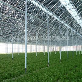 ราคาดี Commercial Greenhouse Solar System Electric Power Galvanized Surface Treatment ออนไลน์