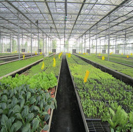 ราคาดี 5kw Greenhouse Solar System Ground Mount 10-60° Tilt Angle Thickness 2.0mm/2.5mm ออนไลน์