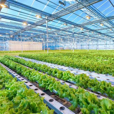 ราคาดี Intelligent Adjustable Height Greenhouse  Lightweight Solar System Frame Photovoltaic Agricultural Mounting Structure ออนไลน์