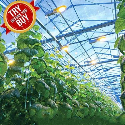 ราคาดี CE Steel Frame Mounting Winter Greenhouse Solar System Tin Film Module Support Structure For Green Space ออนไลน์