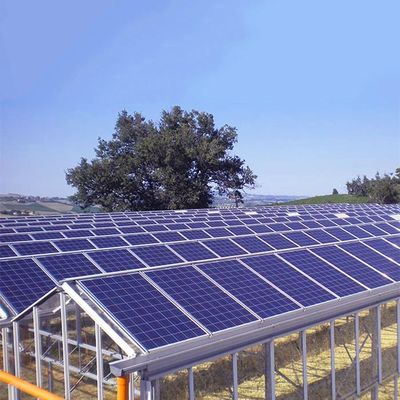 ราคาดี Sustainable Steel On Off Grid Greenhouse Solar System ออนไลน์