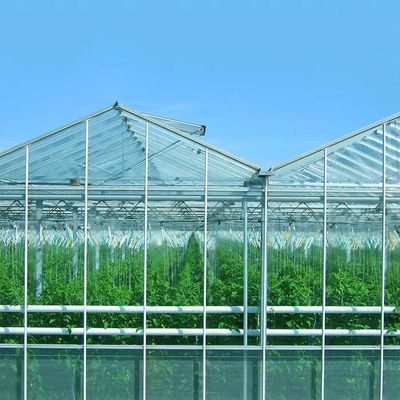 ราคาดี Ground Mounted Photovoltaic Solar System For Plant Farm ออนไลน์