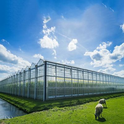 ราคาดี Multi Purpose 500KW BIPV Greenhouse Solar System ออนไลน์