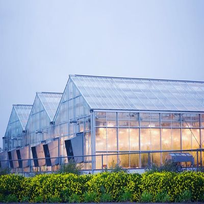 ราคาดี Galvanized 12mm Thickness Film Greenhouse Solar System ออนไลน์