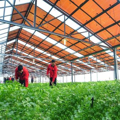 ราคาดี Hot Galvanized Steel Frame Thin Film Module Support Structure For Photovoltaic Greenhouses ออนไลน์