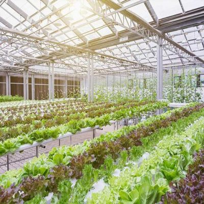ราคาดี 10-60 ° Horizontal Vertical Greenhouse Solar Systems 36.9m/S wind Load ออนไลน์