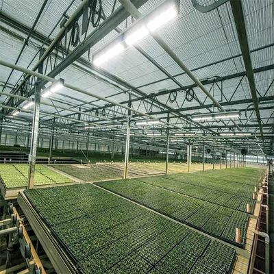 ราคาดี A Frame Outdoor Irrigation Agricultural Solar Powered Greenhouse ออนไลน์