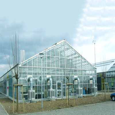 ราคาดี Galvanized Steel Frame Structure Greenhouse Solar System for Farm ออนไลน์