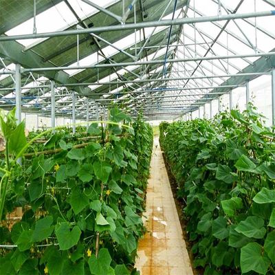 ราคาดี Galvanized Anodized Solar PV Greenhouse With Shading System ออนไลน์